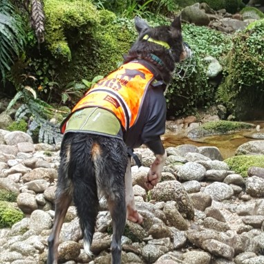 IMG_20171007_182231_381